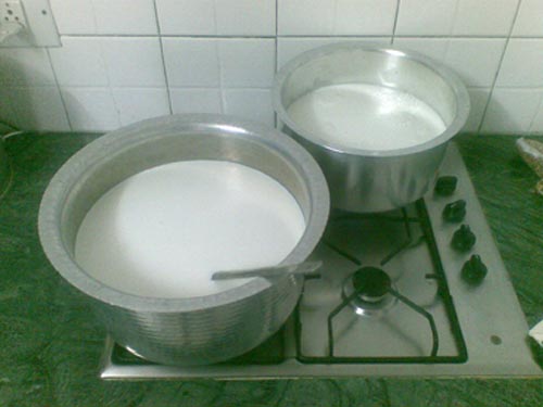 Milk